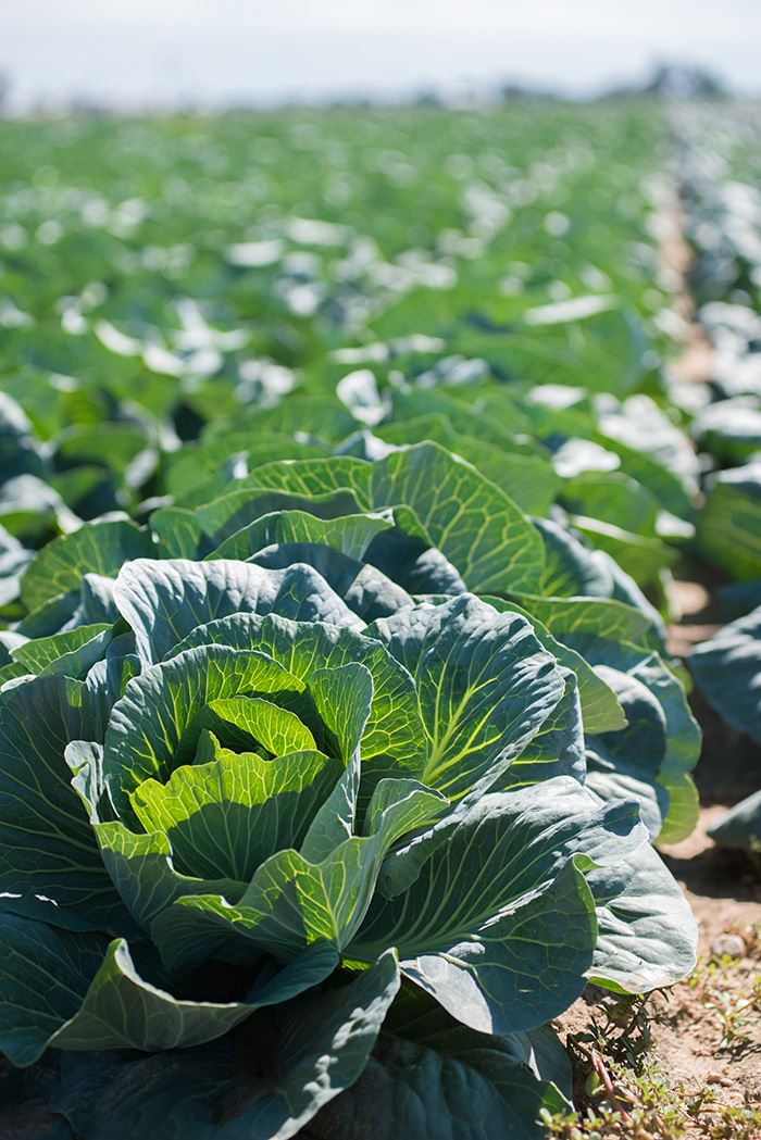 Credit: Rich Vossler Photography