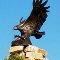 Noble-Eagle-Spirit-of-America_sm