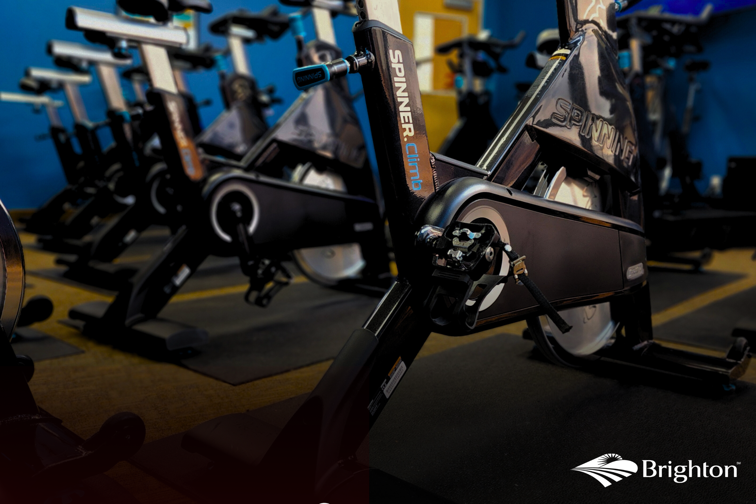 decorative image helathy heart ride