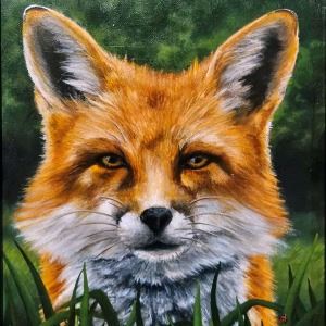 Emily Helsel Fox 11x14 (14.5x17.5) Framed